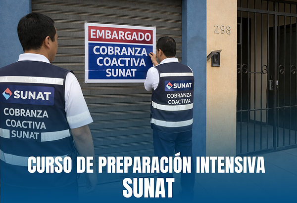Verificador Auxiliar de Cobranza Coactiva